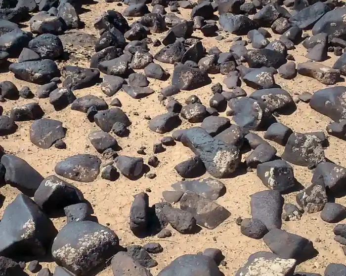 Black Desert